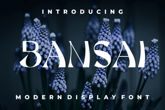 Bansai: A Bold Display Font for Scroll-Stopping Marketing