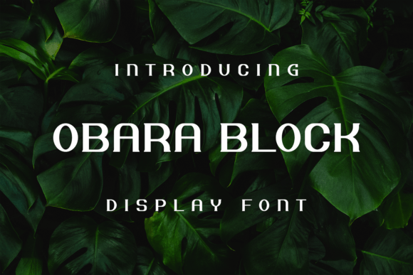 Obara Block: A Bold, Grounded Display Font