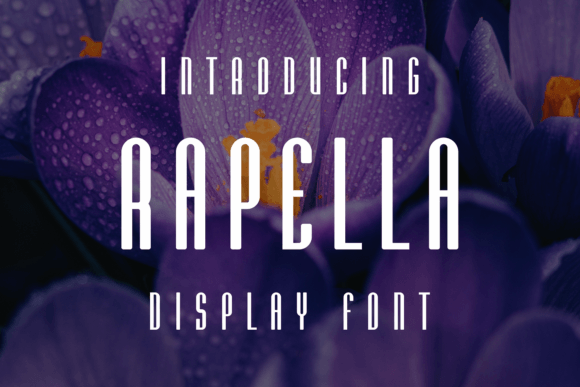 Rapella: A Display Font That Builds Brand Trust